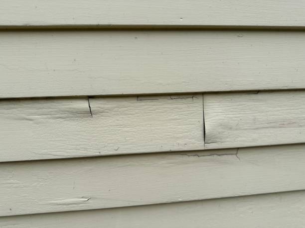 Best Historical Building Siding Restoration  in Lochearn, MD